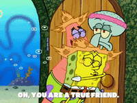season 5 GIF by SpongeBob SquarePants