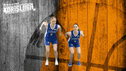 Basketball Hoops GIF by Basket_fi