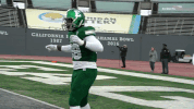 Eagles Football Emueagles GIF by EMU Athletics