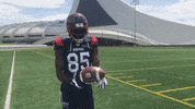 Ball Drop Football GIF by Alouettes de Montréal