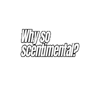 WhySoScentimental wssc whysoscentimental wssclogo bouncywssc Sticker