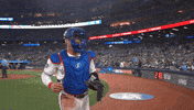 Baseball Applause GIF by Toronto Blue Jays