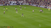 captain poll GIF