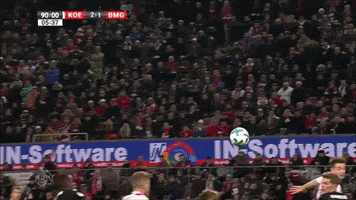 buzzer beater win GIF by 1. FC Köln