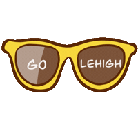 Summer College Sticker by Lehigh University