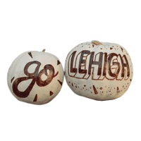 Football Fall Sticker by Lehigh University