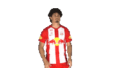 Andre Ramalho Applause Sticker by FC Red Bull Salzburg