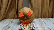 Snake Eat GIF by Cookingfunny