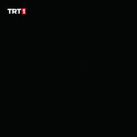Good Night Art GIF by TRT