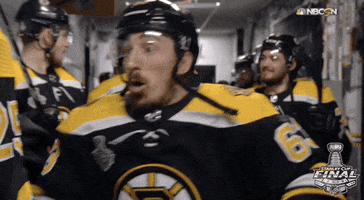ice hockey sport GIF by NHL