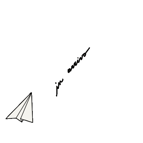 Plane Arriving Sticker