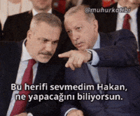 Rte Reis GIF