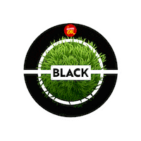 Football Sticker by Deliveryonapp
