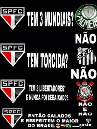 Sao Paulo Santos GIF