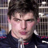 Max Verstappen GIF