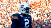 Lets Go Football GIF by Auburn Tigers