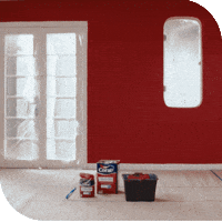 Master GIF by Tintas Coral