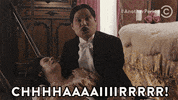 comedy central cc GIF by Another Period