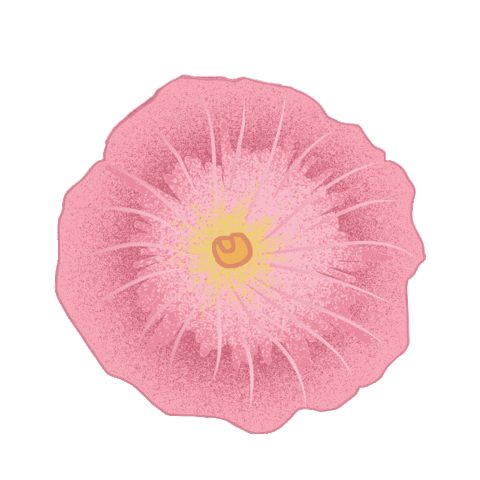 flower Sticker by Spell & The Gypsy Collective