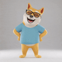 Happy Shiba Inu GIF by Doge Pound
