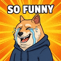 Happy Shiba Inu GIF by Doge Pound