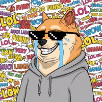 Shiba Inu Wow GIF by Doge Pound