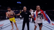 ufc 212 GIF