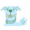 lizziandroccosnaturalpetmarket dog doggo peace dog columbiamo GIF