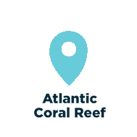 coral reef Sticker by National Aquarium