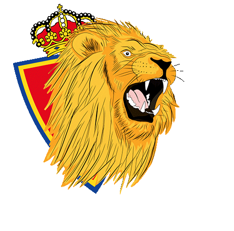 football soccer Sticker by Real Zaragoza