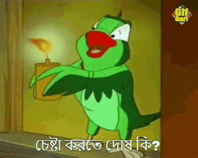 BengalBeats giphyupload GIF