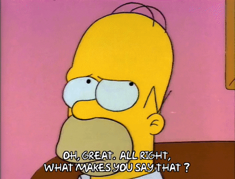 Season 2 Episode 13 GIF by The Simpsons