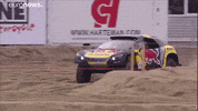 Buggy Loeb GIF by euronews