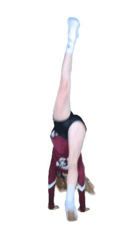 Sport Pointing Sticker by Aquinas Volleyball