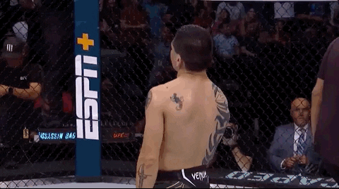 Mixed Martial Arts Sport GIF by UFC