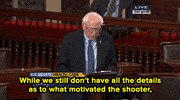 bernie sanders news GIF