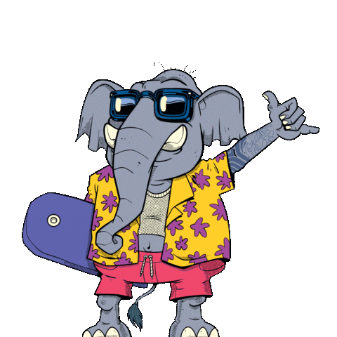 itacoatiarapro giphyupload itacoatiara itacoatiara pro itacoa Sticker