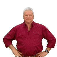 Renovate Channel 9 Sticker by The Block