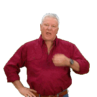 Renovate Channel 9 Sticker by The Block