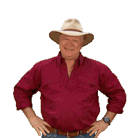 Renovate Channel 9 Sticker by The Block