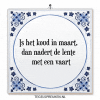 Humor Nl GIF by Tegelspreuken.nl
