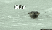 Golf Otter GIF by SB Nation