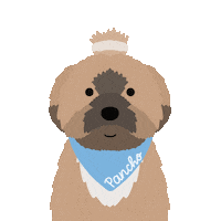 Sleepy Sticker