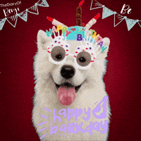 Happy Birthday GIF