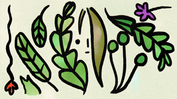 Branch Out