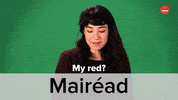 Luck Of The Irish Ireland GIF by BuzzFeed