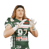 Catch Rannfl Sticker by Schwäbisch Hall Unicorns