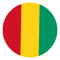 Guinea Flag Sticker by Conscious Planet - Save Soil