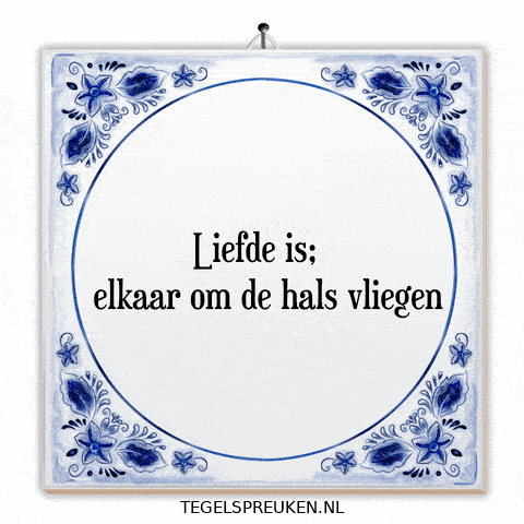 Humor Nl GIF by Tegelspreuken.nl