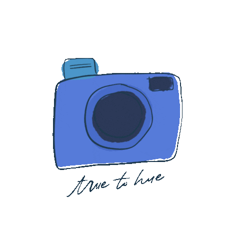 BexleyDesigns giphyupload photography camera photographer Sticker